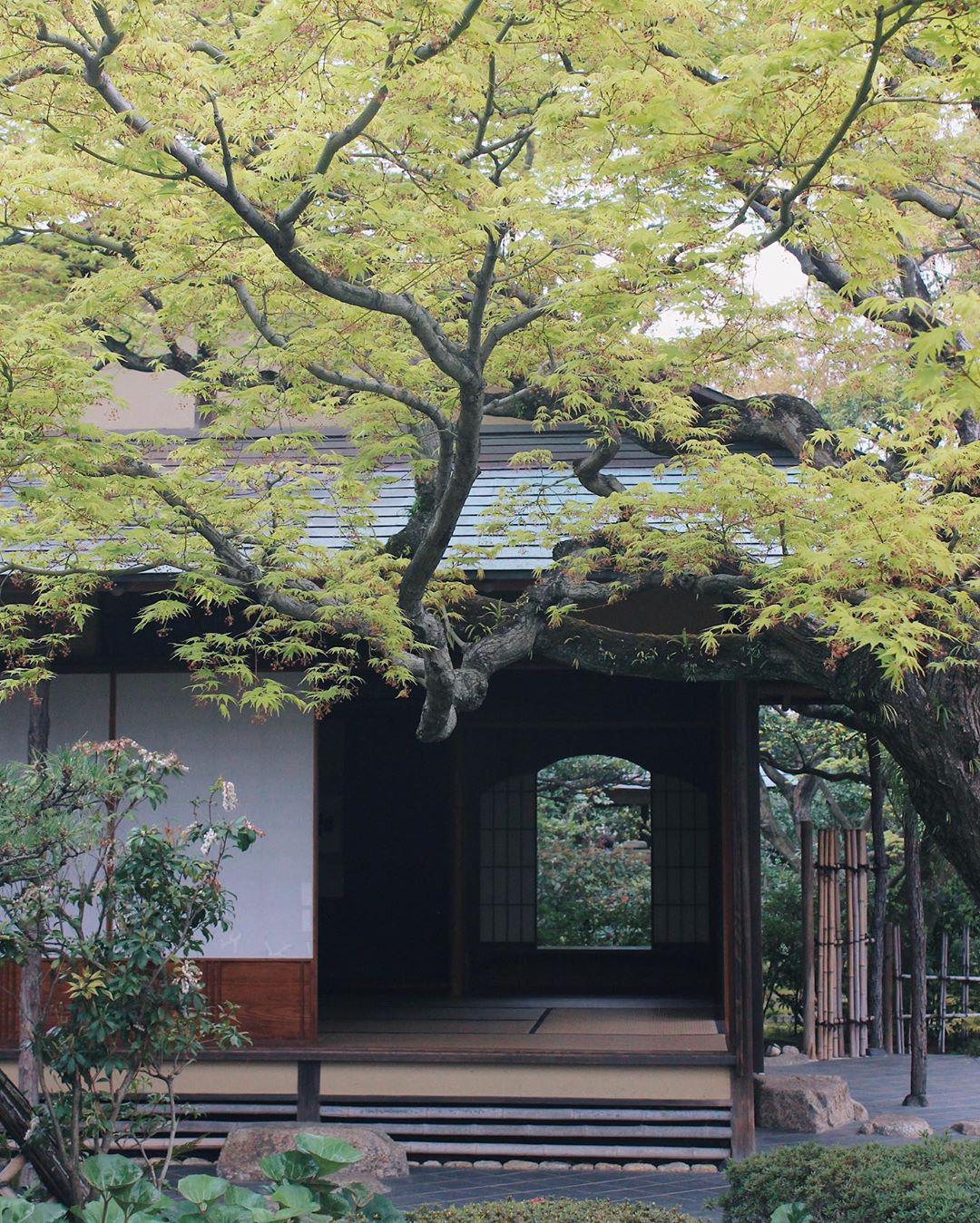 松风园