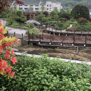 遵义台湾邨