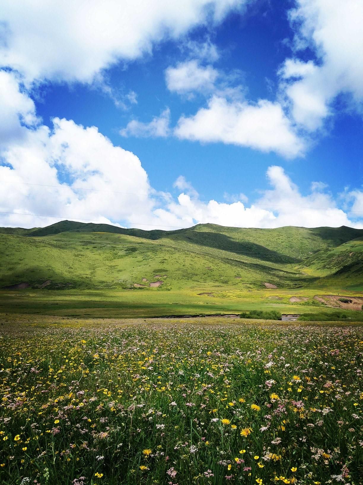 【携程攻略】夏河桑科草原景点,甘南旅游一定不能错过的桑科草原,桑科