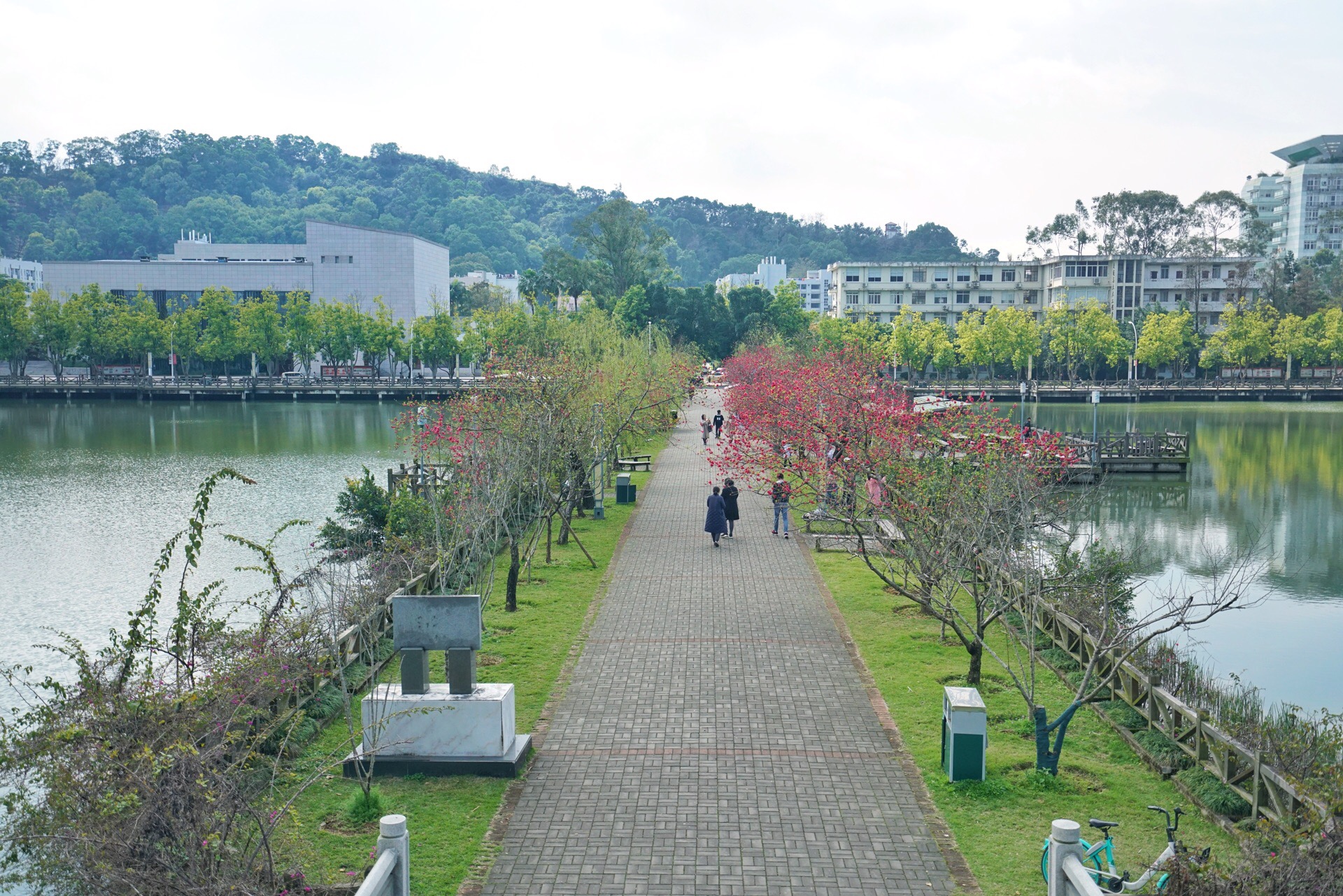 福建农林大学