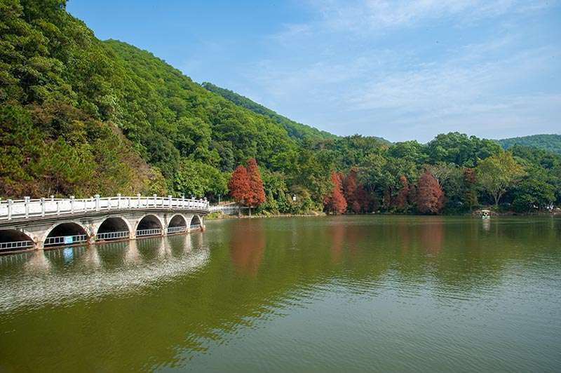 深圳仙湖植物园好玩吗,深圳仙湖植物园景点怎么样