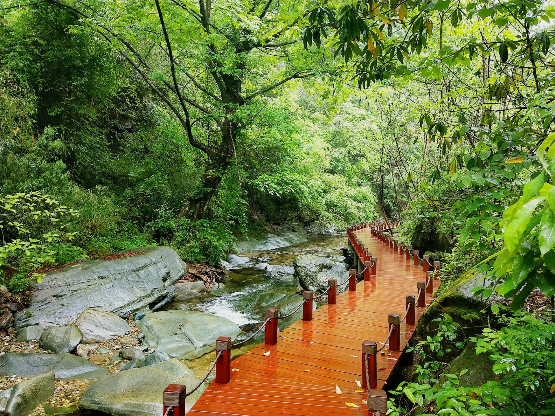 平利桃花溪景区