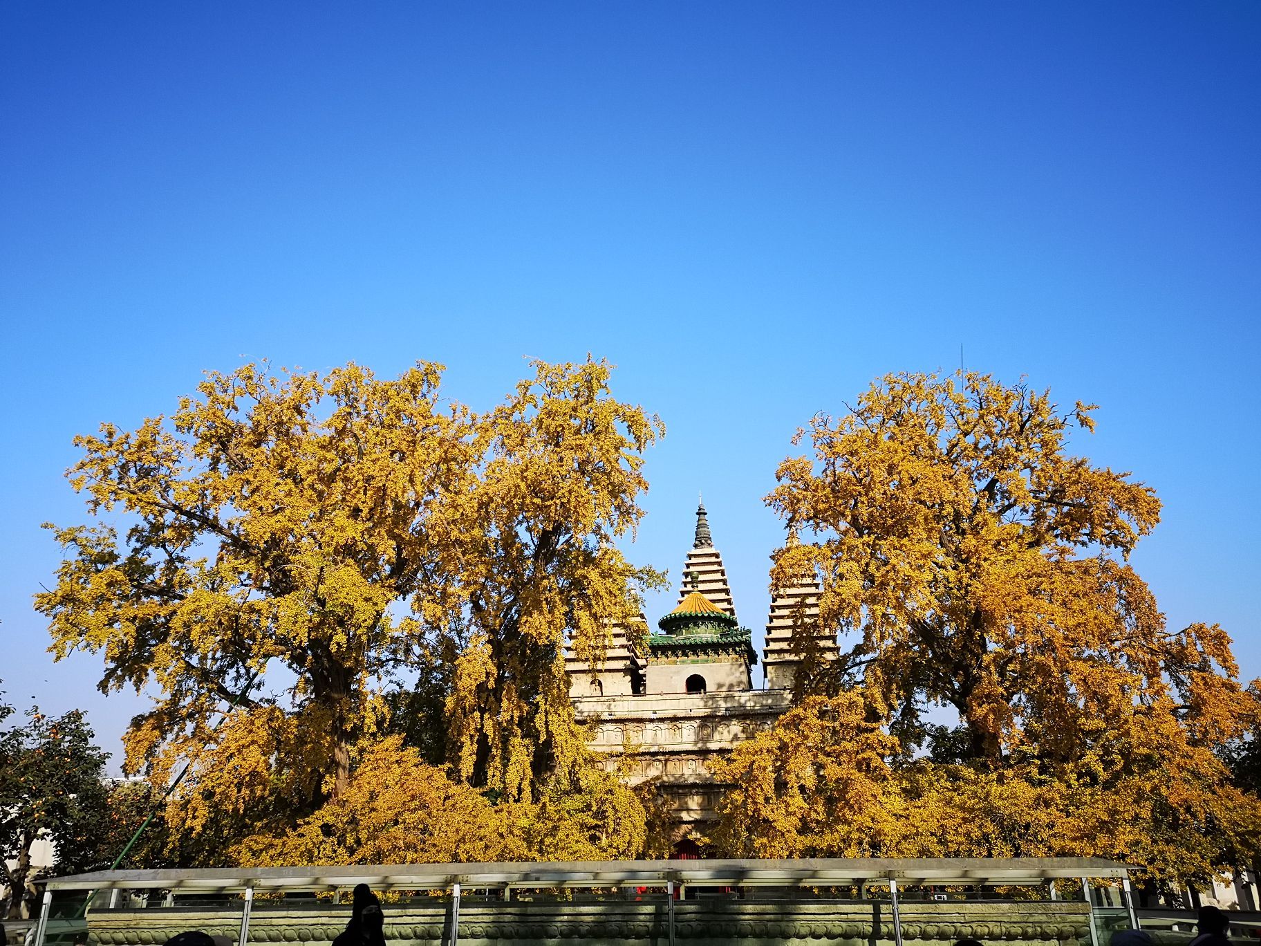 真觉寺