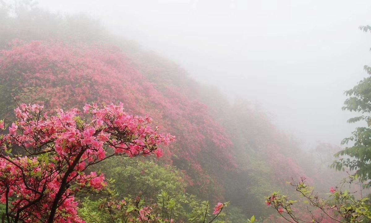 震雷山风景区