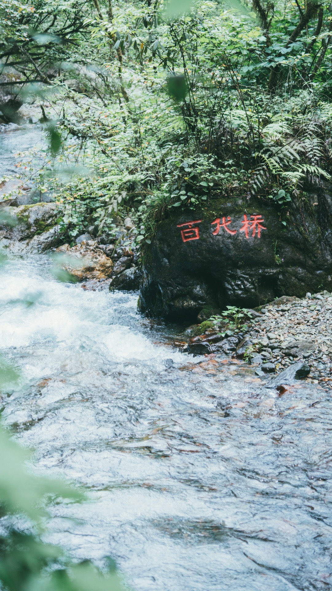 西岭雪山大飞水风景区