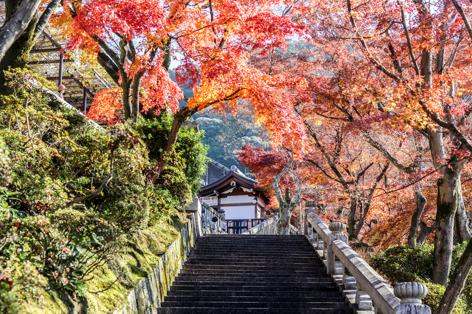 清水寺