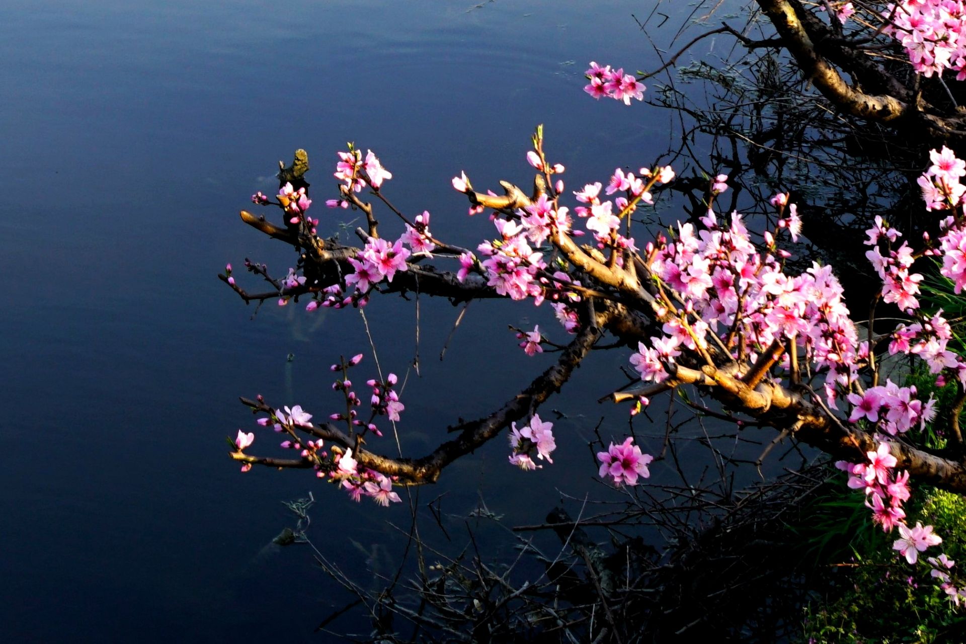 无锡阳山桃花源景区