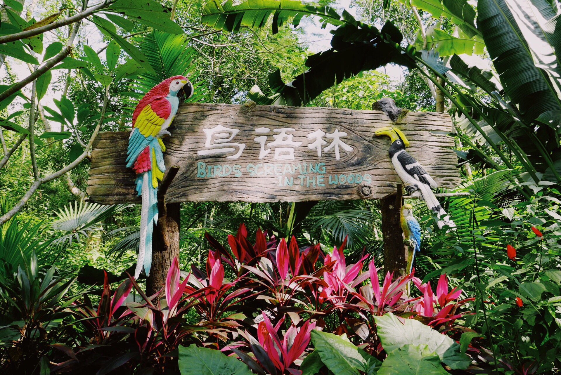 海南热带野生动植物园