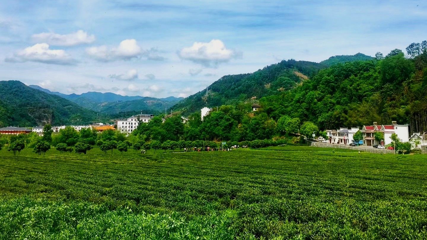 龙头村位于平利县城东南五公里处的古仙湖景区内,村庄环山水绕,形如