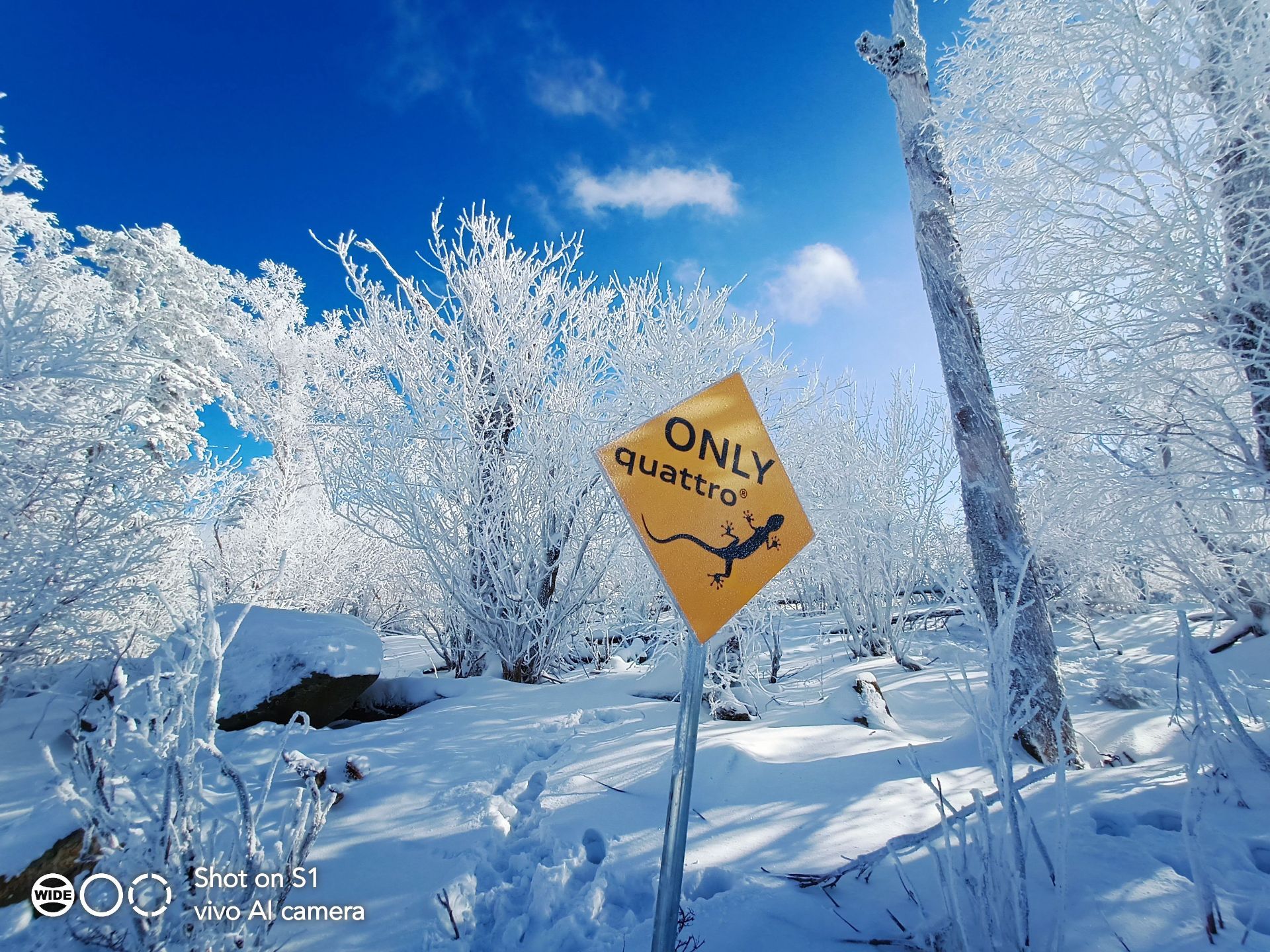 【携程攻略】吉林市北大湖滑雪度假区景点,北大壶滑雪场嘻嘻～这