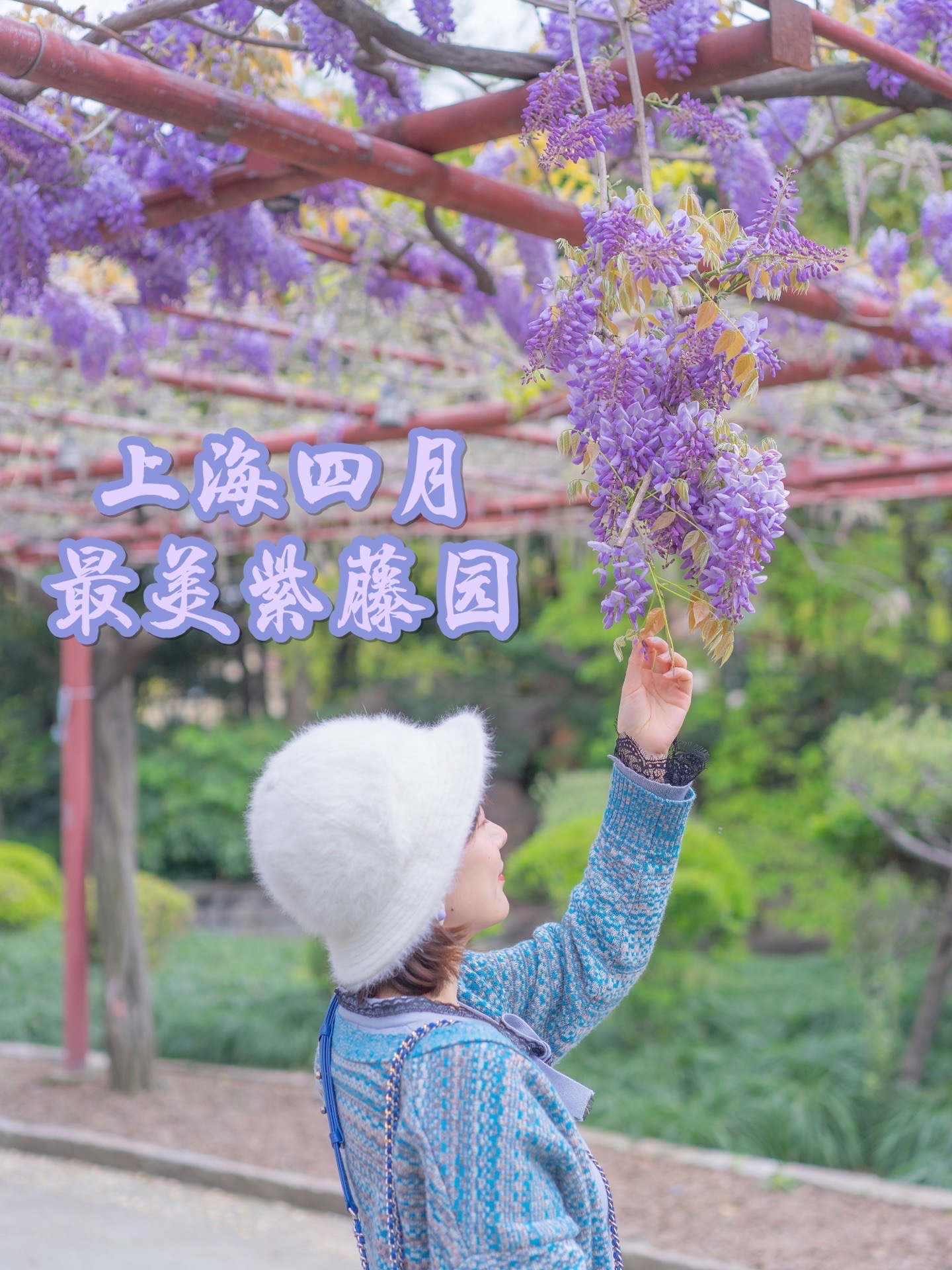 上海紫藤园好玩吗,上海紫藤园景点怎么样_点评_评价