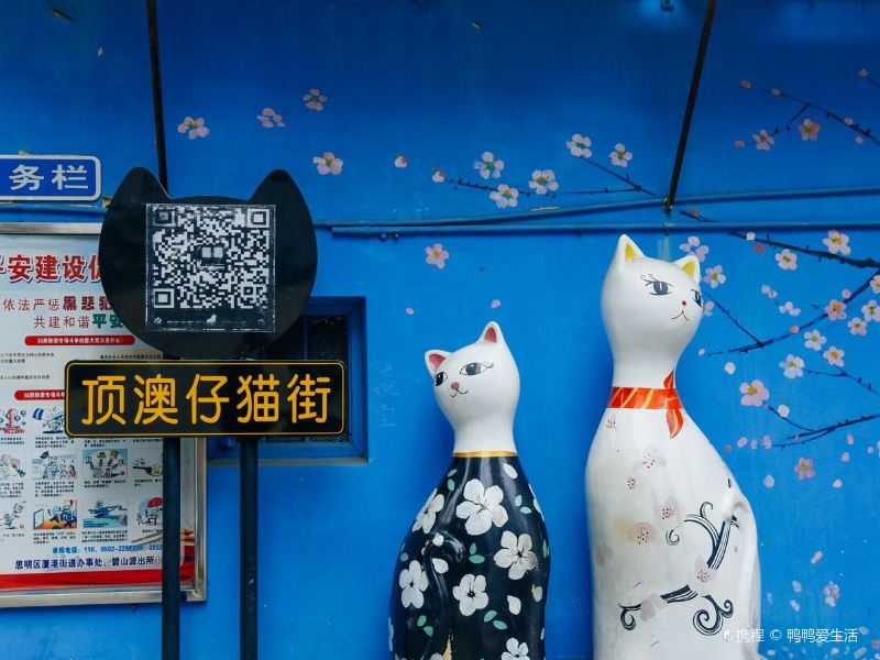 厦门顶澳仔猫街攻略-顶澳仔猫街门票价格多少钱-团购