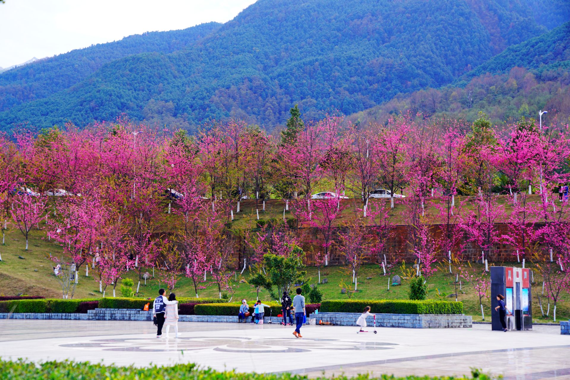 大理大学