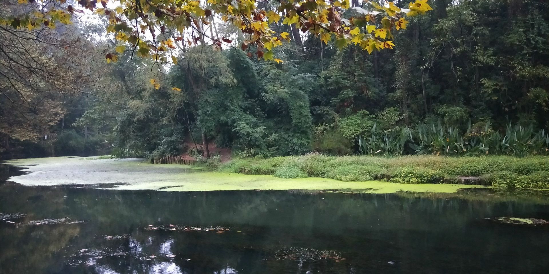 贵阳小车河城市湿地公园攻略,贵阳小车河城市湿地公园门票/游玩攻略