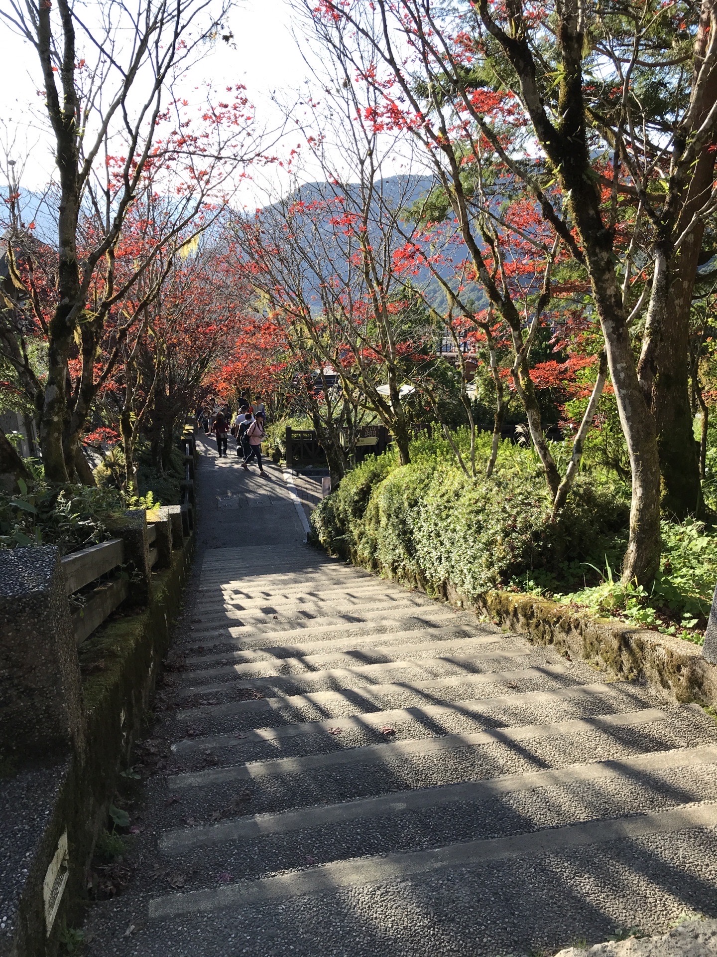 太平山国家森林游乐区