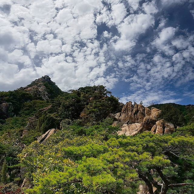 山不在高,有"颜"则名—韩国冠岳山之旅门票是免费,这点是很吸引人的