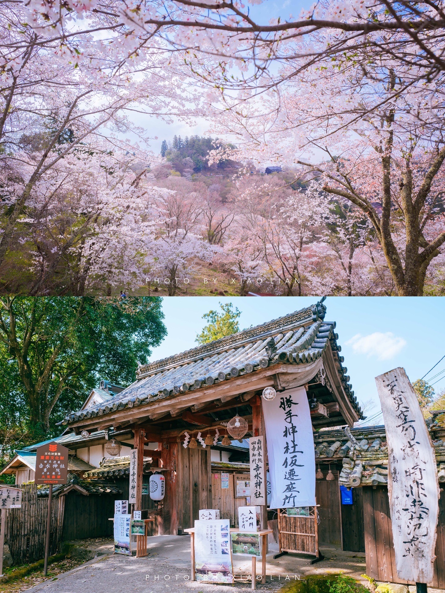 吉野町吉野山好玩吗,吉野町吉野山景点怎么样_点评_评价【携程攻略】