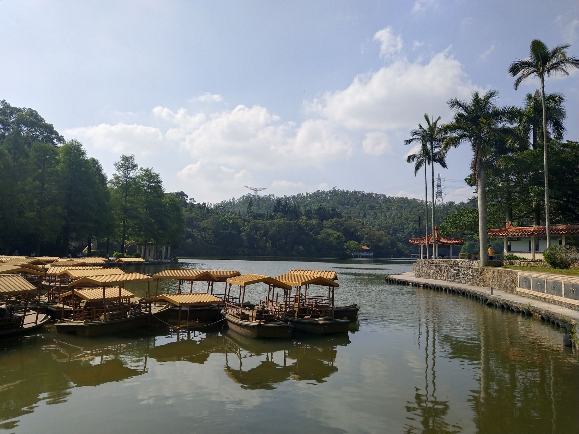 仙湖植物园