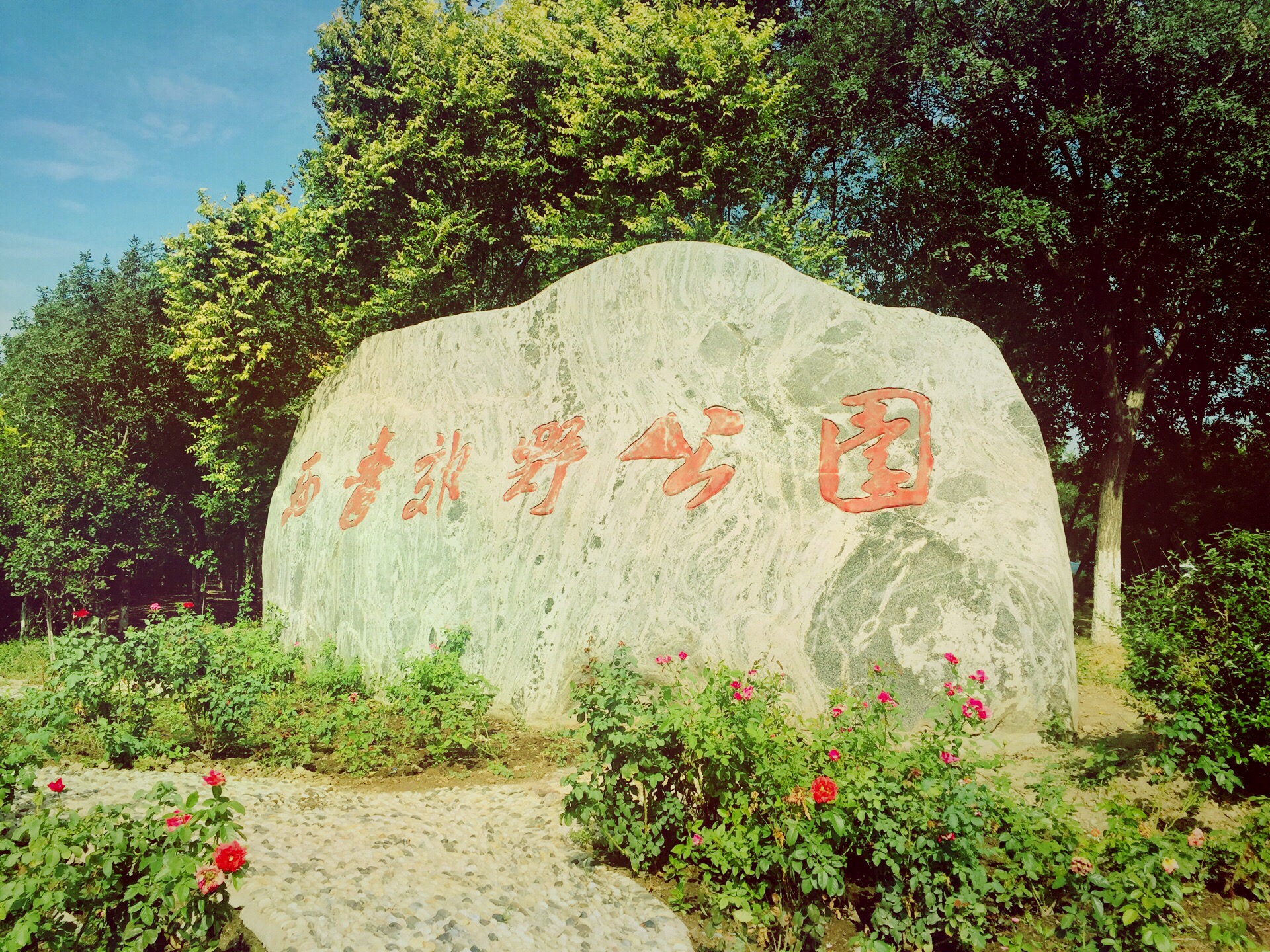 天津西青郊野公园攻略,天津西青郊野公园门票/游玩