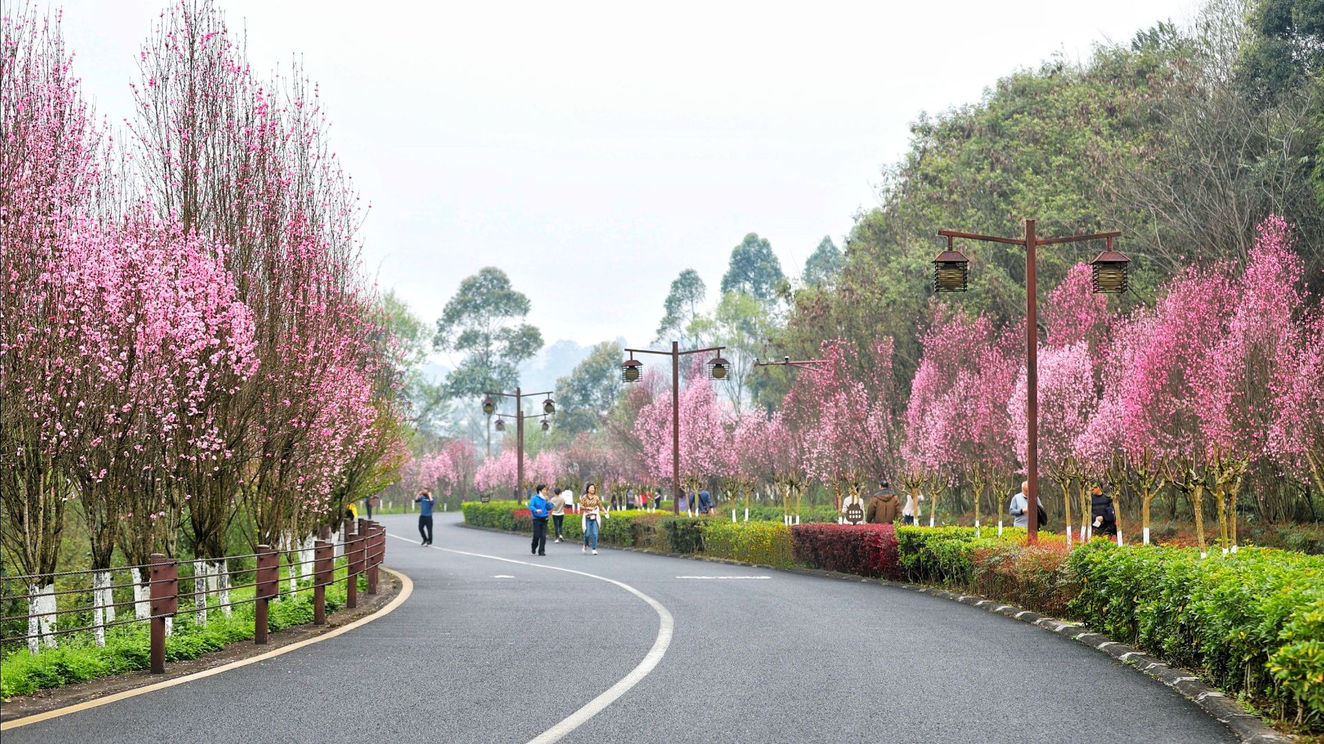 乐山绿心路好玩吗,乐山绿心路景点怎么样_点评_评价