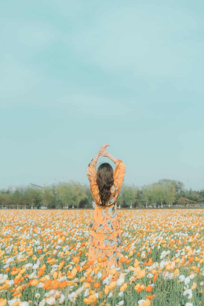 二月兰的浪漫梦幻
油菜花的满目春色
走进紫谷伊甸园

