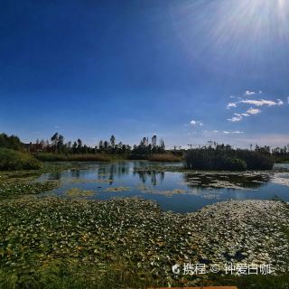 昆明宝丰湿地公园攻略-宝丰湿地公园门票价格多少钱