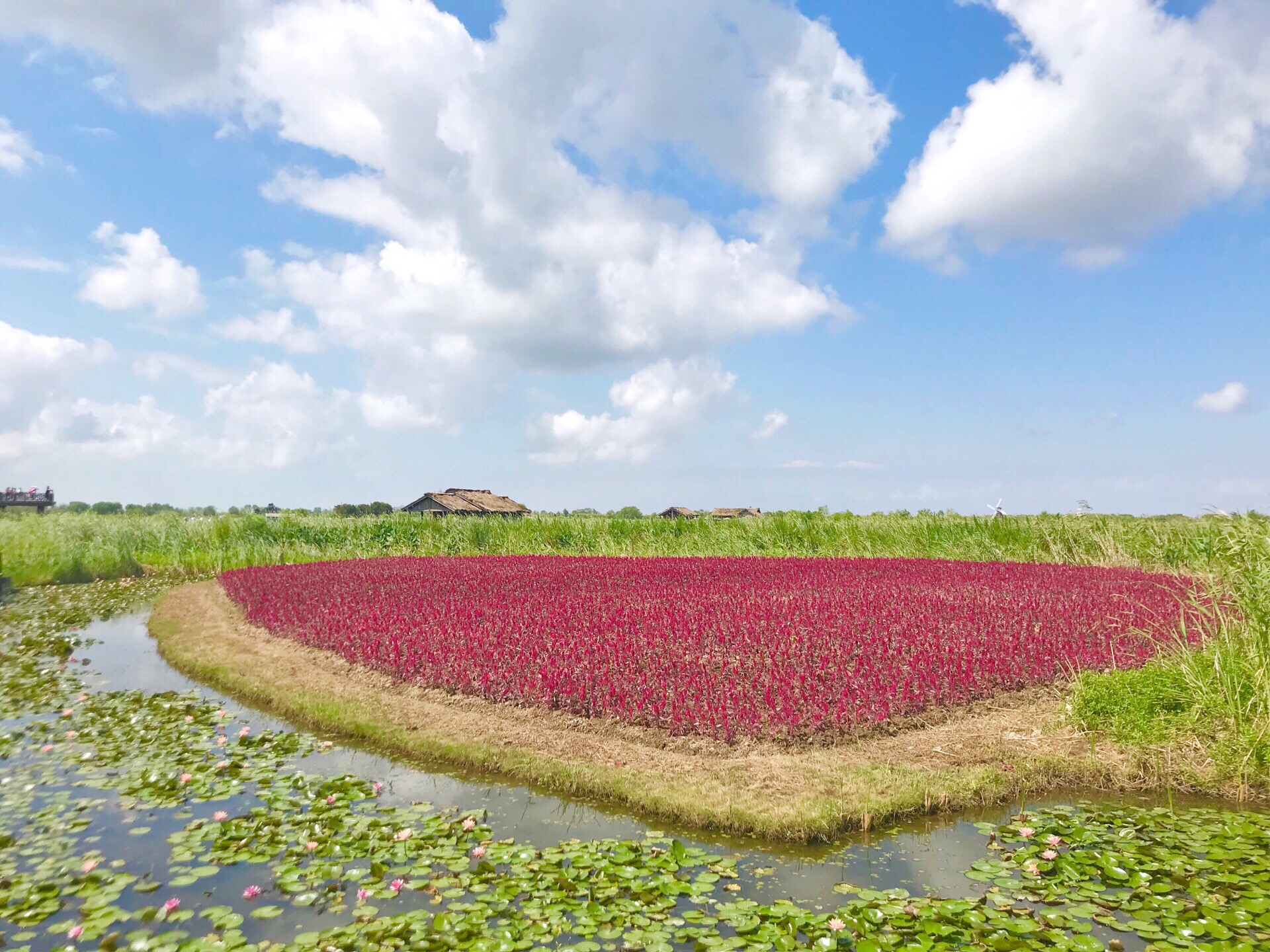 杭州湾国家湿地公园