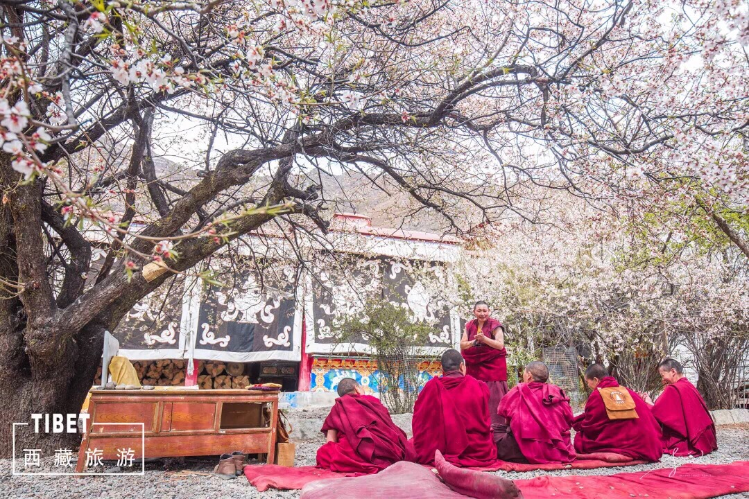 曲桑寺