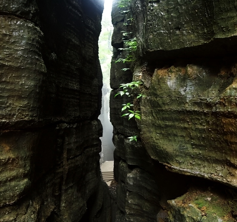 万盛石林风景区名列"巴渝十二景"之一,此处石林形成于奥陶系,是我国