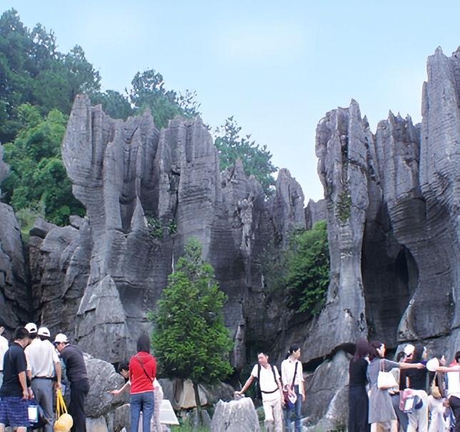 万盛石林风景区名列"巴渝十二景"之一,此处石林形成于奥陶系,是我国