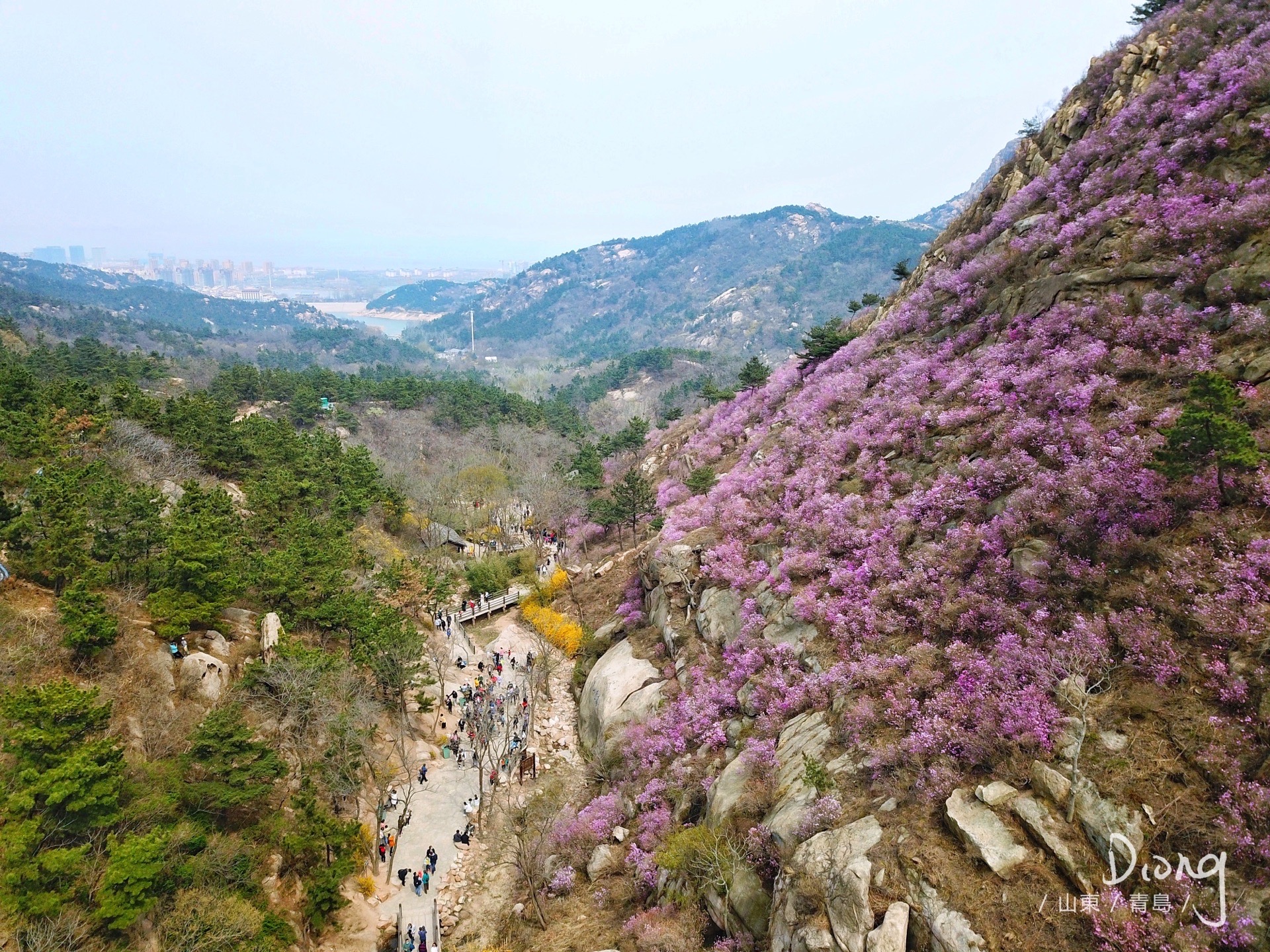 青岛大珠山风景区攻略,青岛大珠山风景区门票/游玩攻略/地址/图片