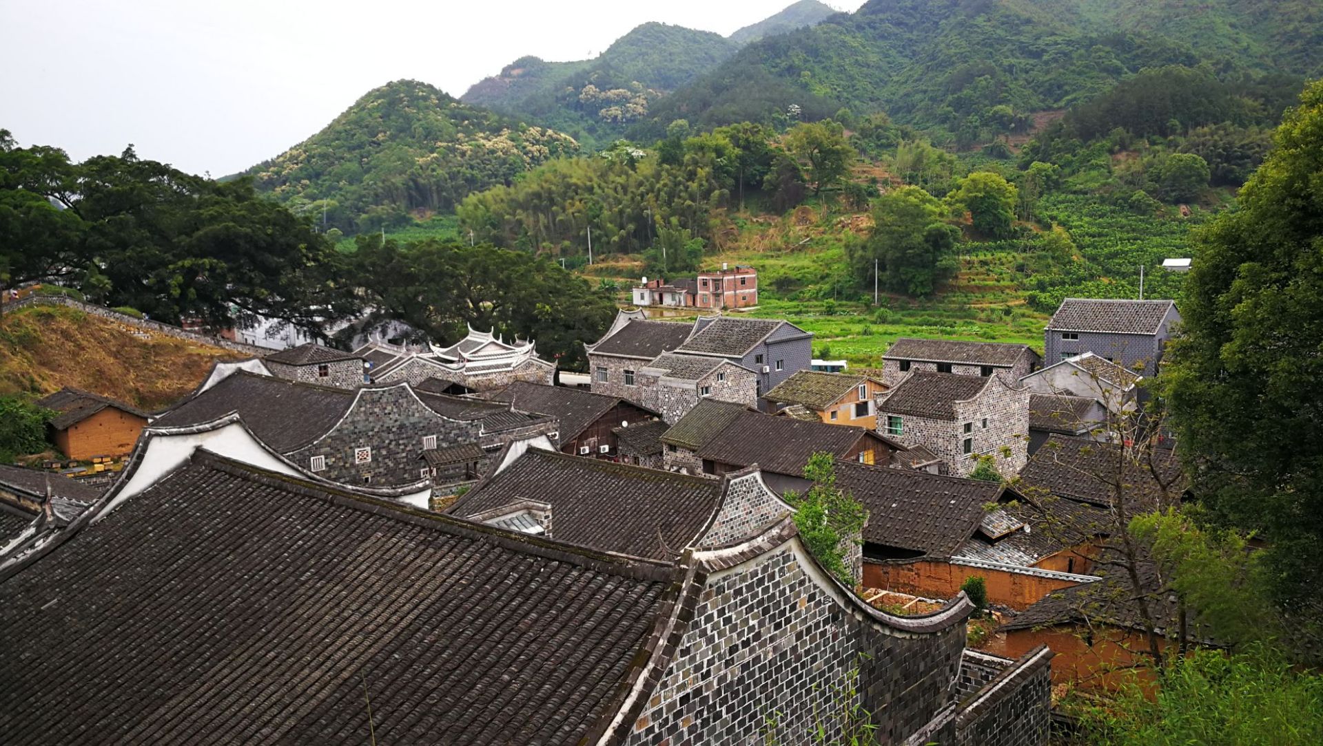 半月里村位于福建省霞浦县溪南镇,是畲族聚居的村庄.