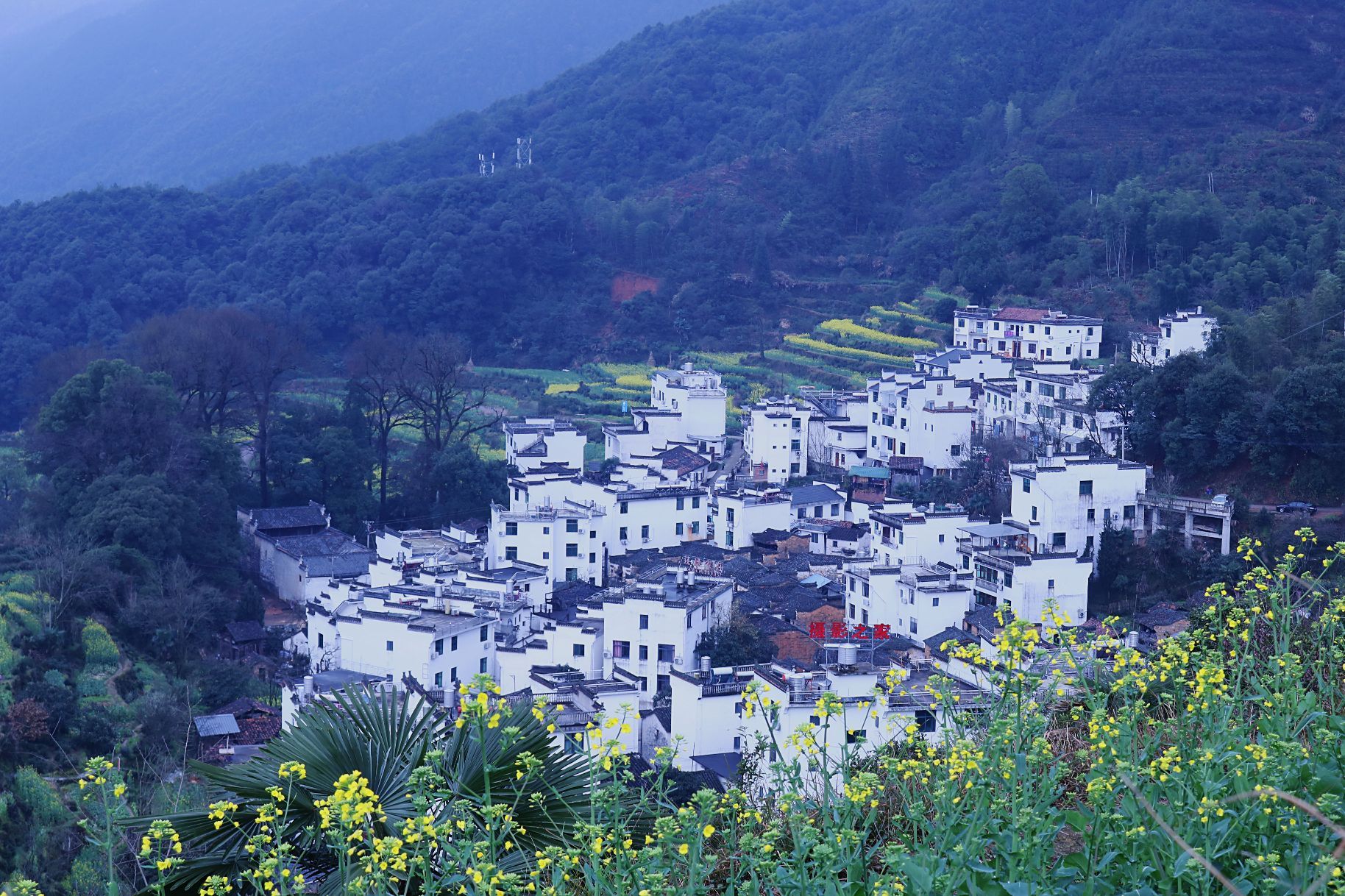 【携程攻略】婺源江岭景区景点,【满城尽带黄金甲,师.