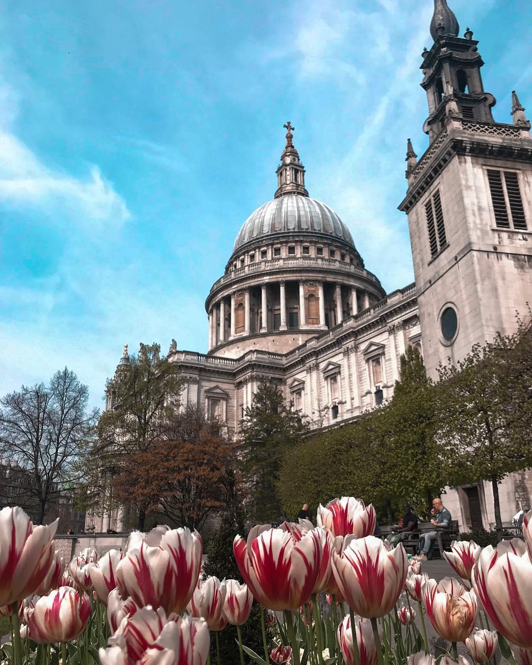 paul's cathedral(圣保罗大教堂)
对st.