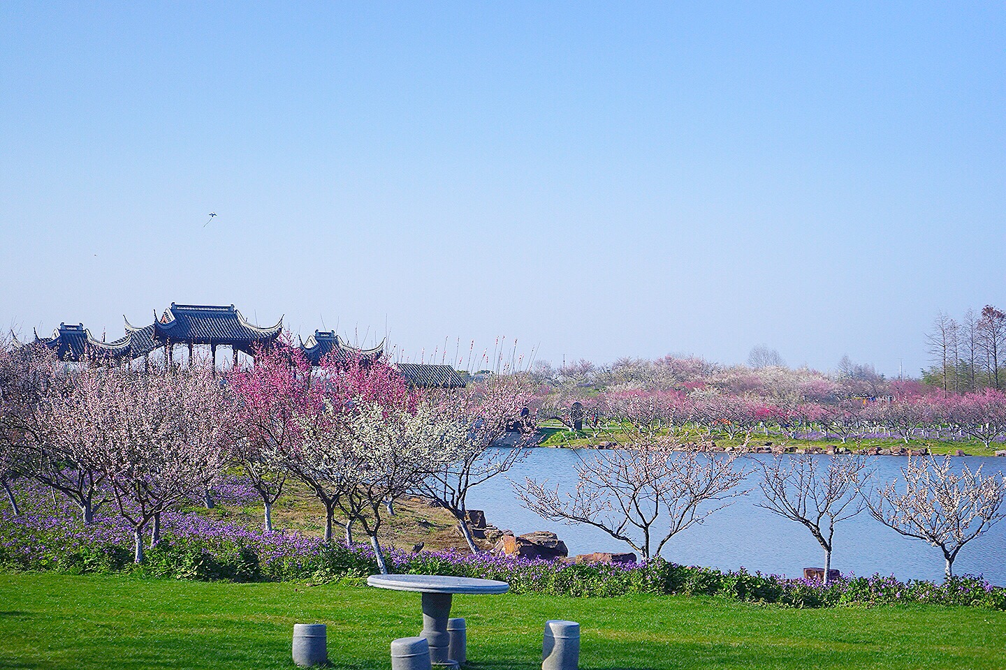 上海奉贤海湾旅游区好玩吗,上海奉贤海湾旅游区景点样