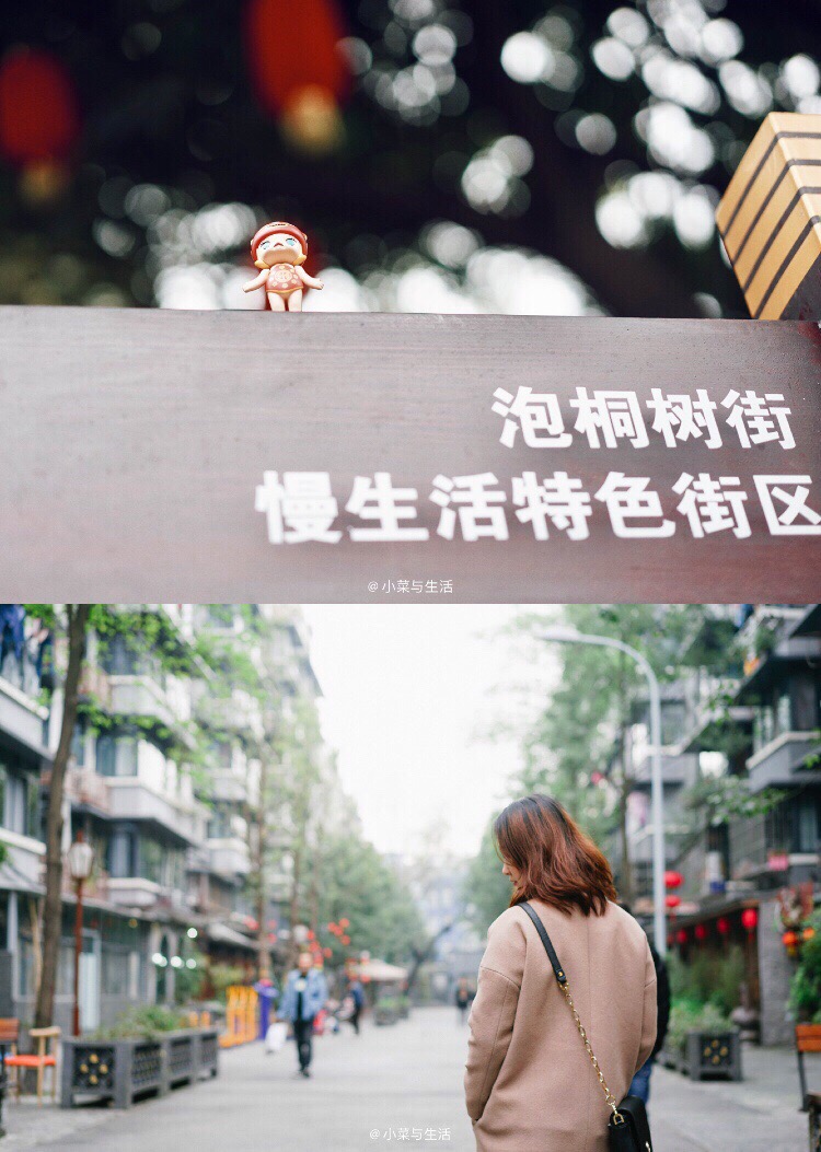 泡桐树街