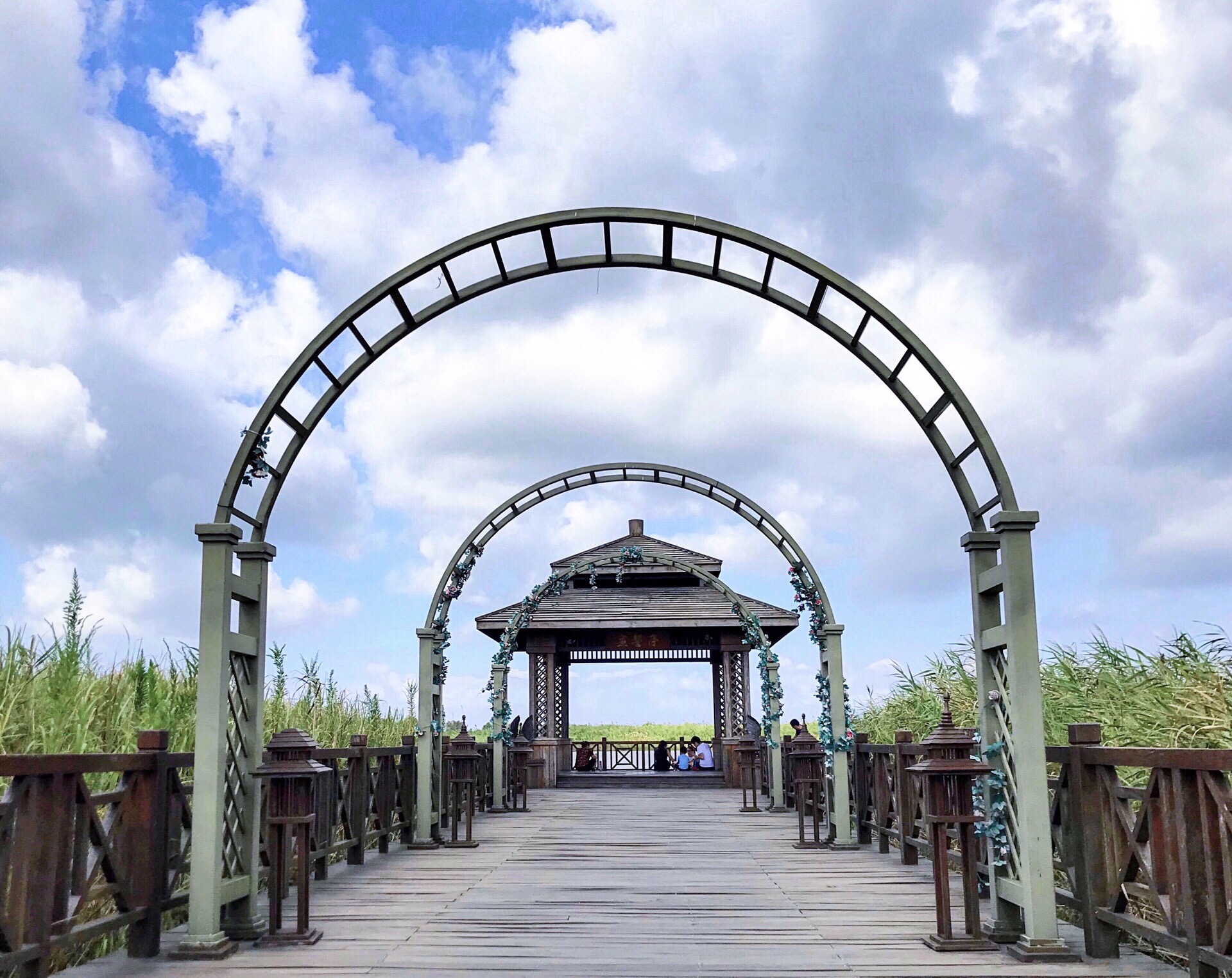 杭州湾国家湿地公园