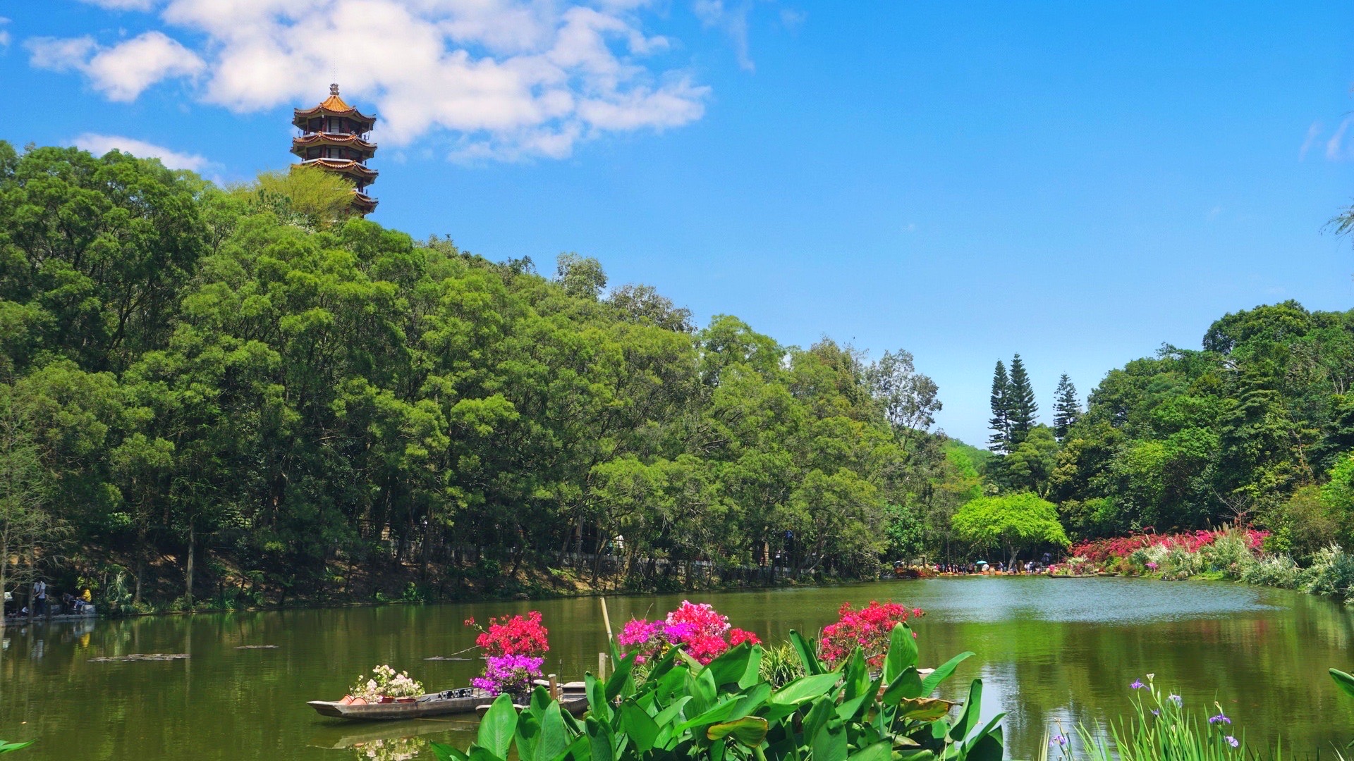 深圳仙湖植物园好玩吗,深圳仙湖植物园景点怎么样