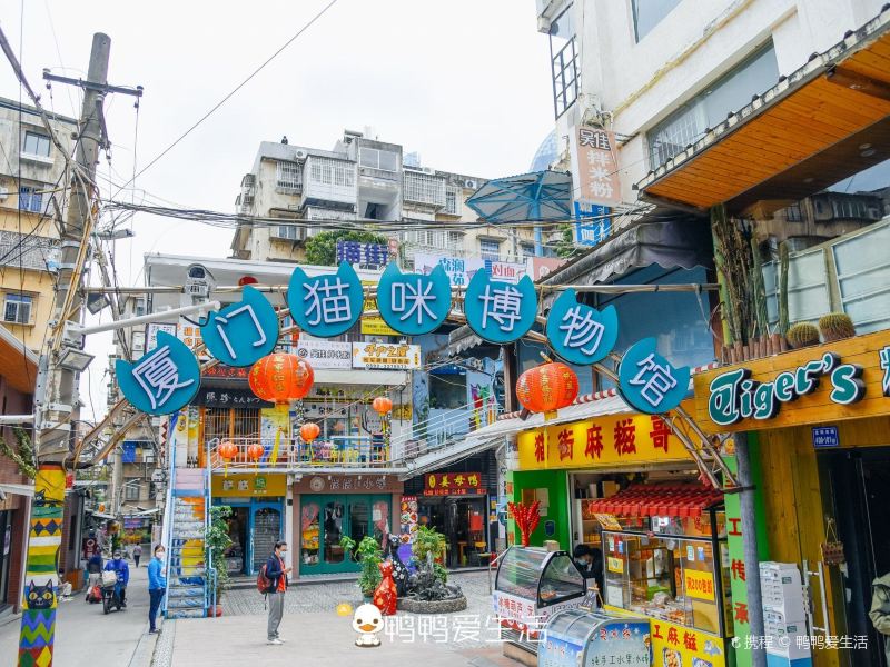 厦门顶澳仔猫街攻略-顶澳仔猫街门票价格多少钱-团购