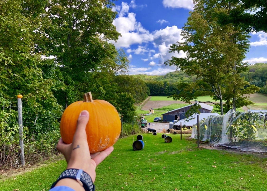 pond hill farm