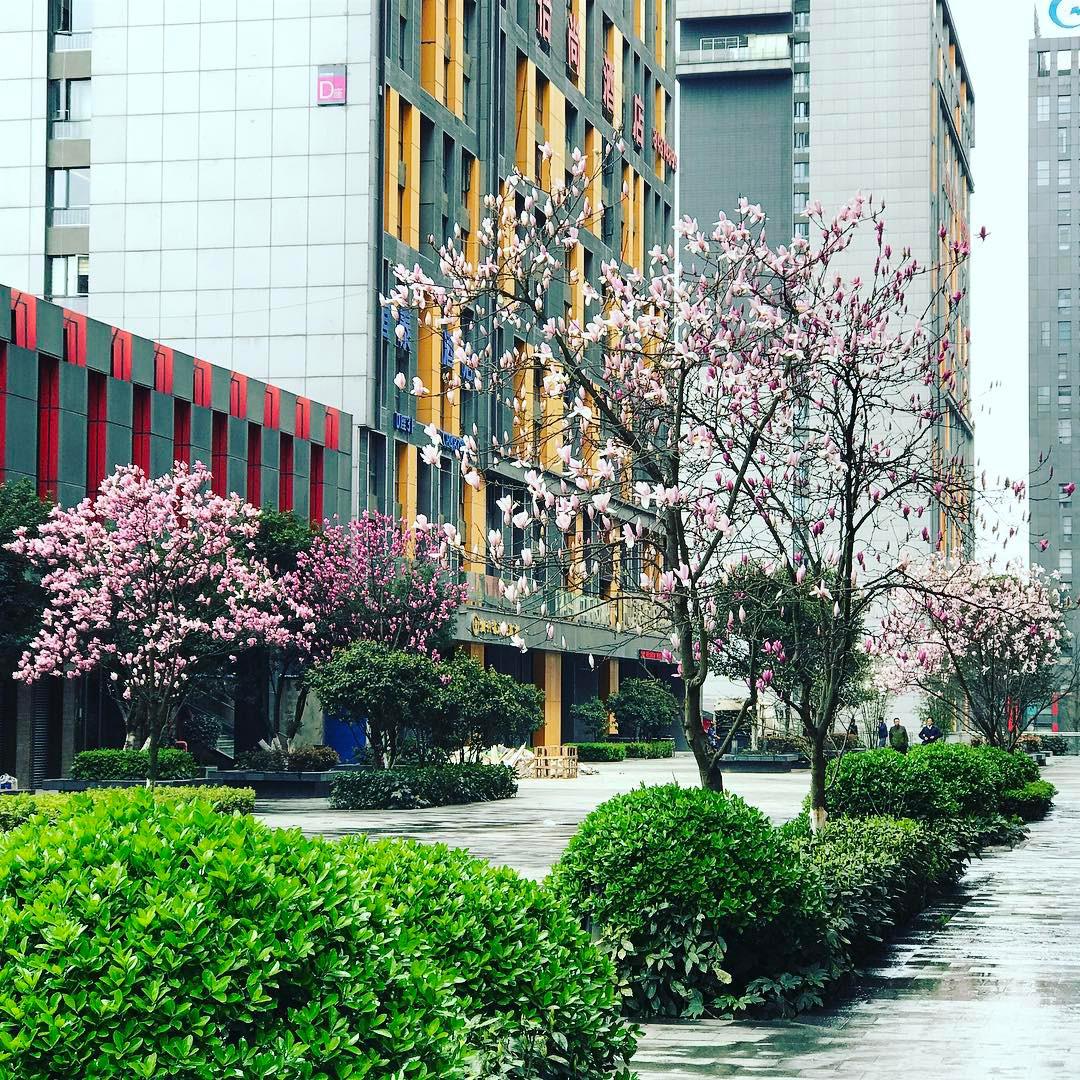 贵州师范大学花溪校区图书馆