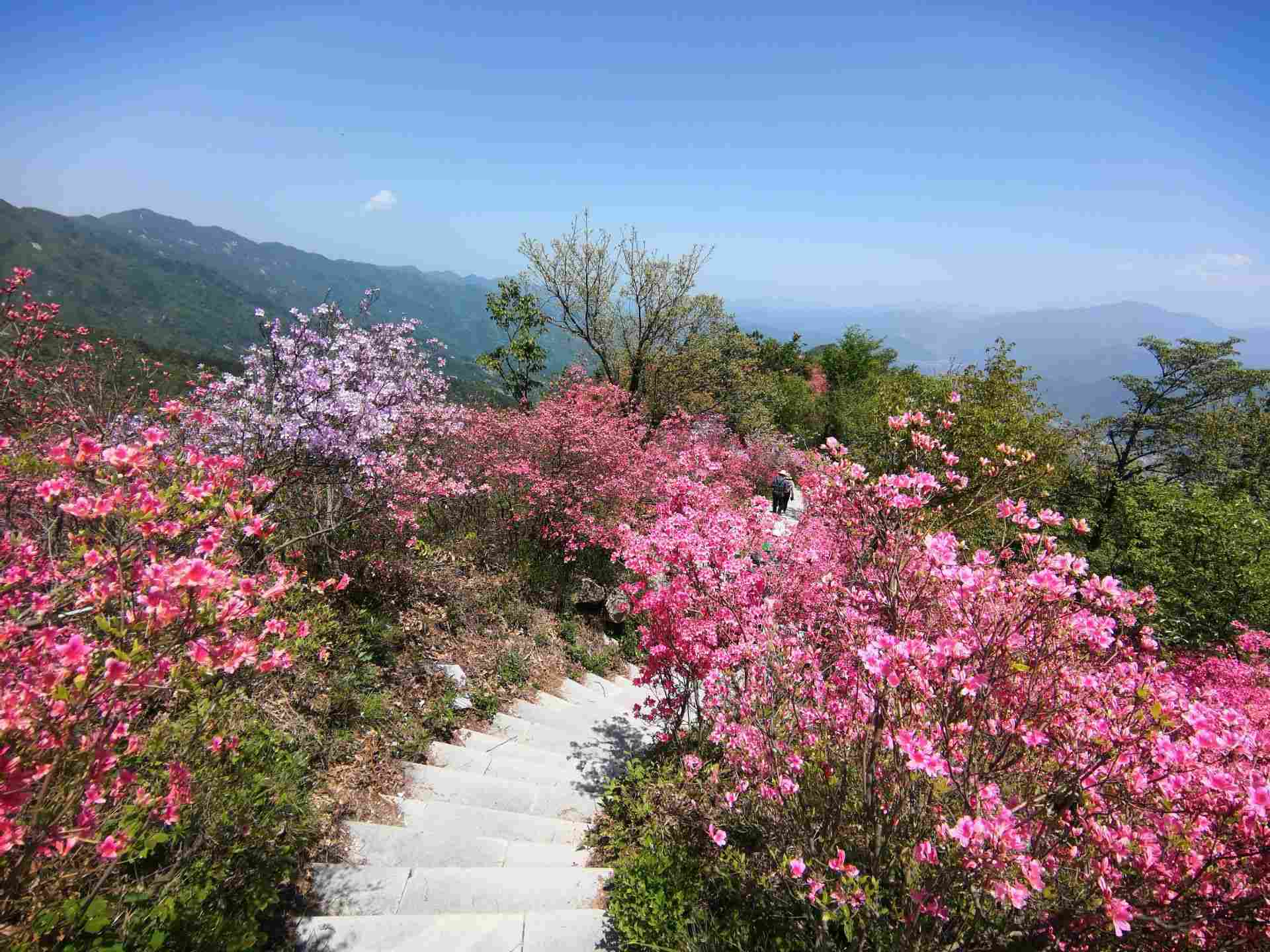 英山县天马寨风景区