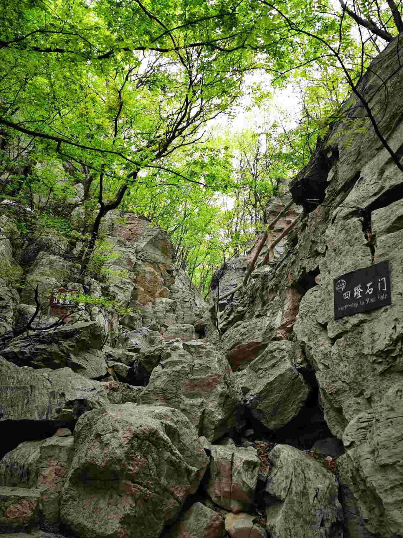 【携程攻略】萧县天门寺景点,山上植被覆盖茂密,空气