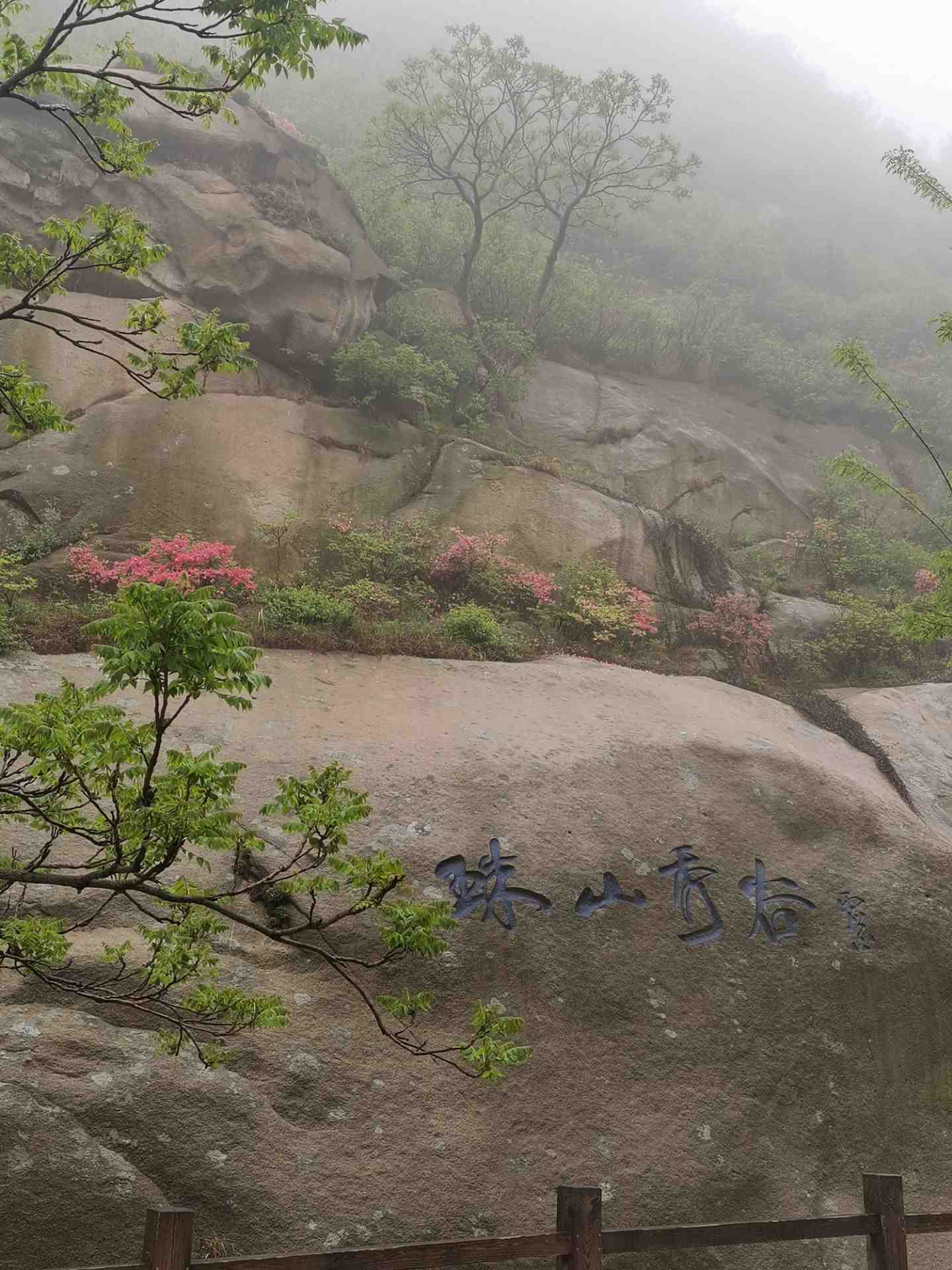 【携程攻略】青岛大珠山风景区景点,不虚此行.今天有