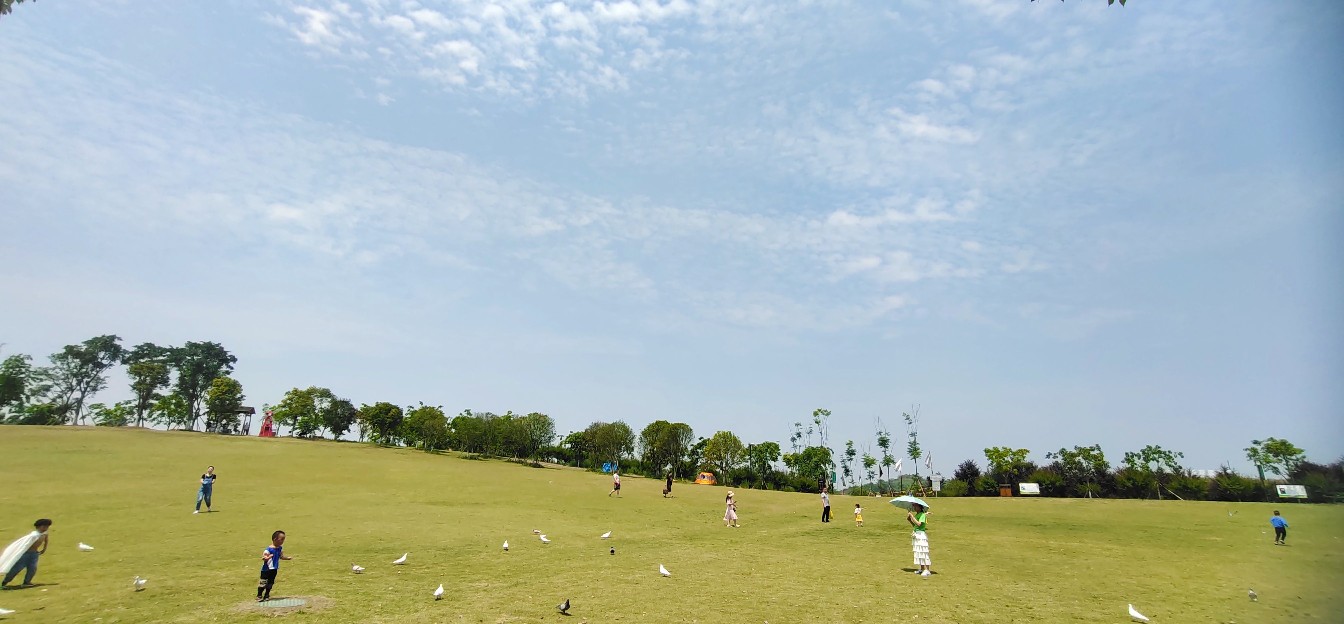 内江川南大草原好玩吗,内江川南大草原景点怎么样