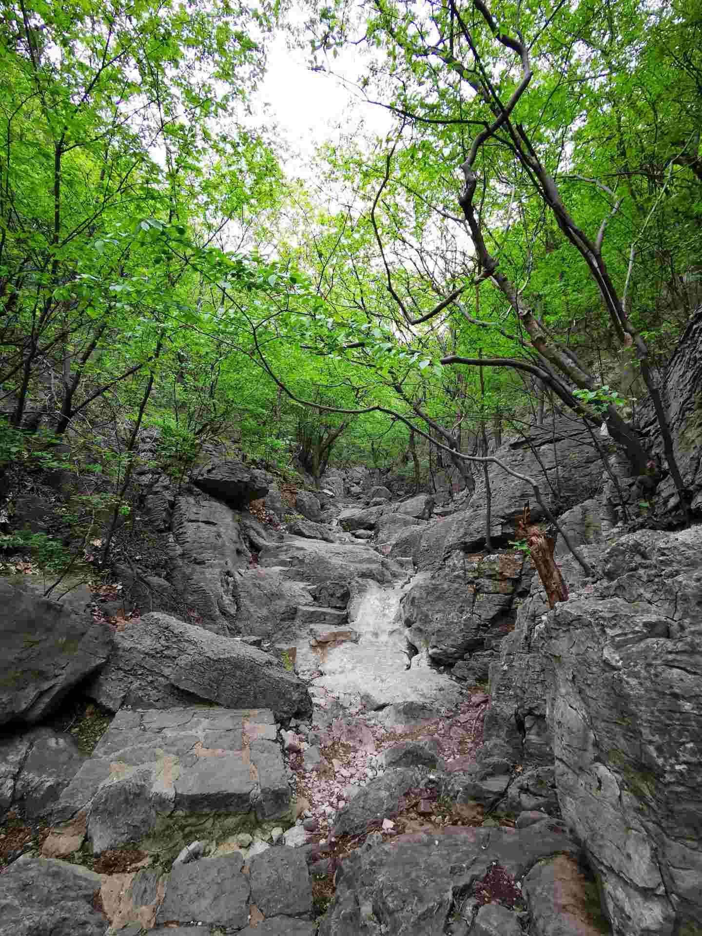 【携程攻略】萧县天门寺景点,山上植被覆盖茂密,空气