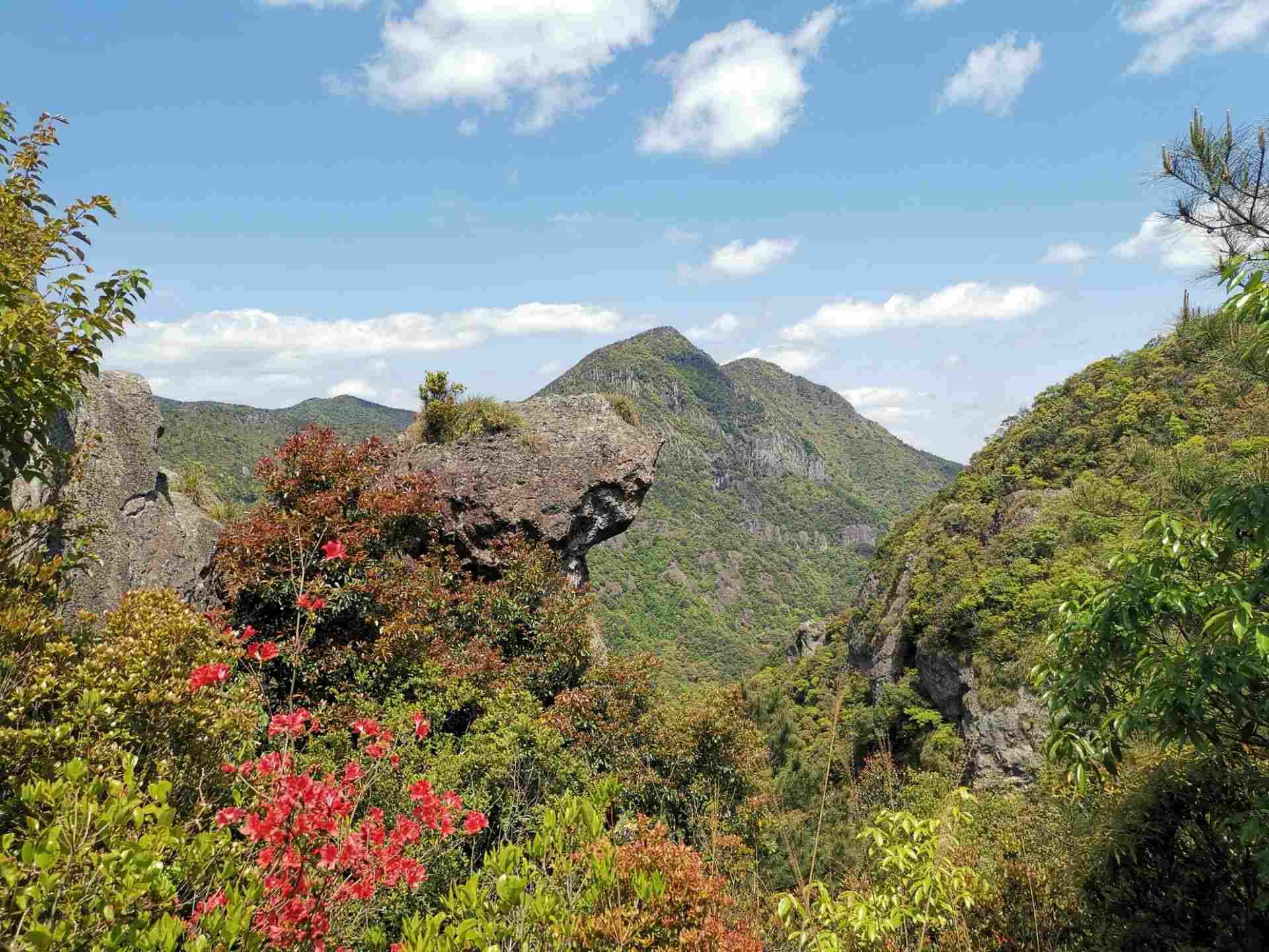 瑞云山森林公园