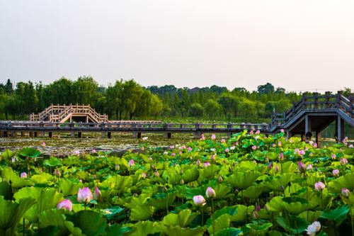 仙山湖风景区