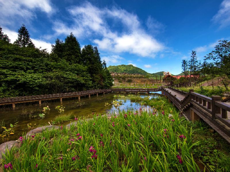 重庆南天湖景区攻略-南天湖景区门票价格多少钱-团购