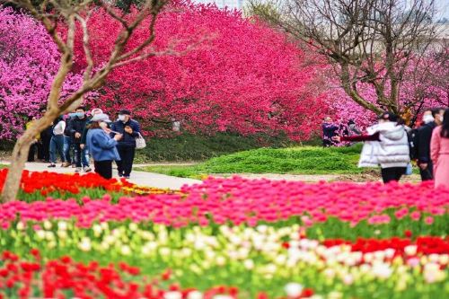 成都三圣花乡旅游区攻略-三圣花乡旅游区门票价格多少